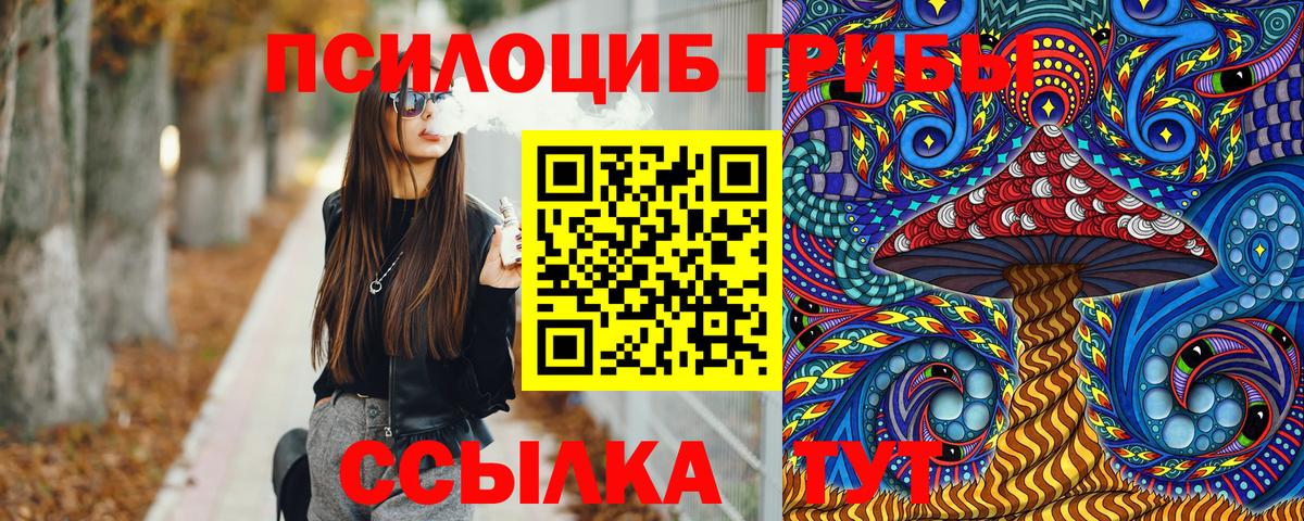 Острогожск  Псилоцибиновые грибы Psilocybe  Вход с VPN 