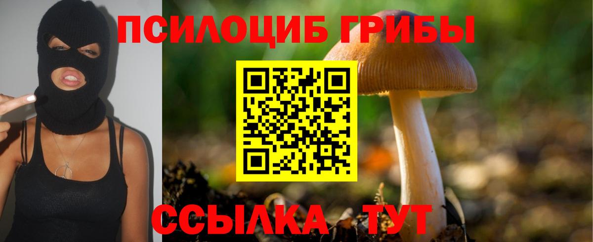 Псилоцибиновые грибы GOLDEN TEACHER Острогожск